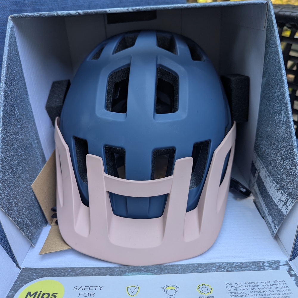 Blue and Pink Bike Helmet